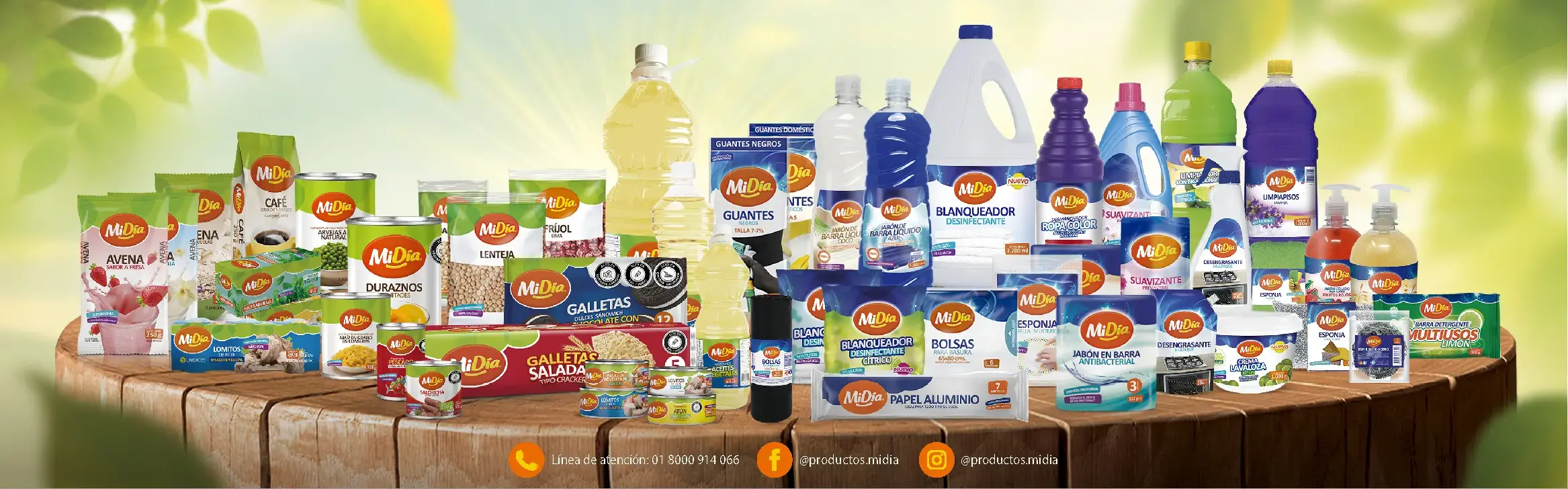 Bodegón Productos MiDía